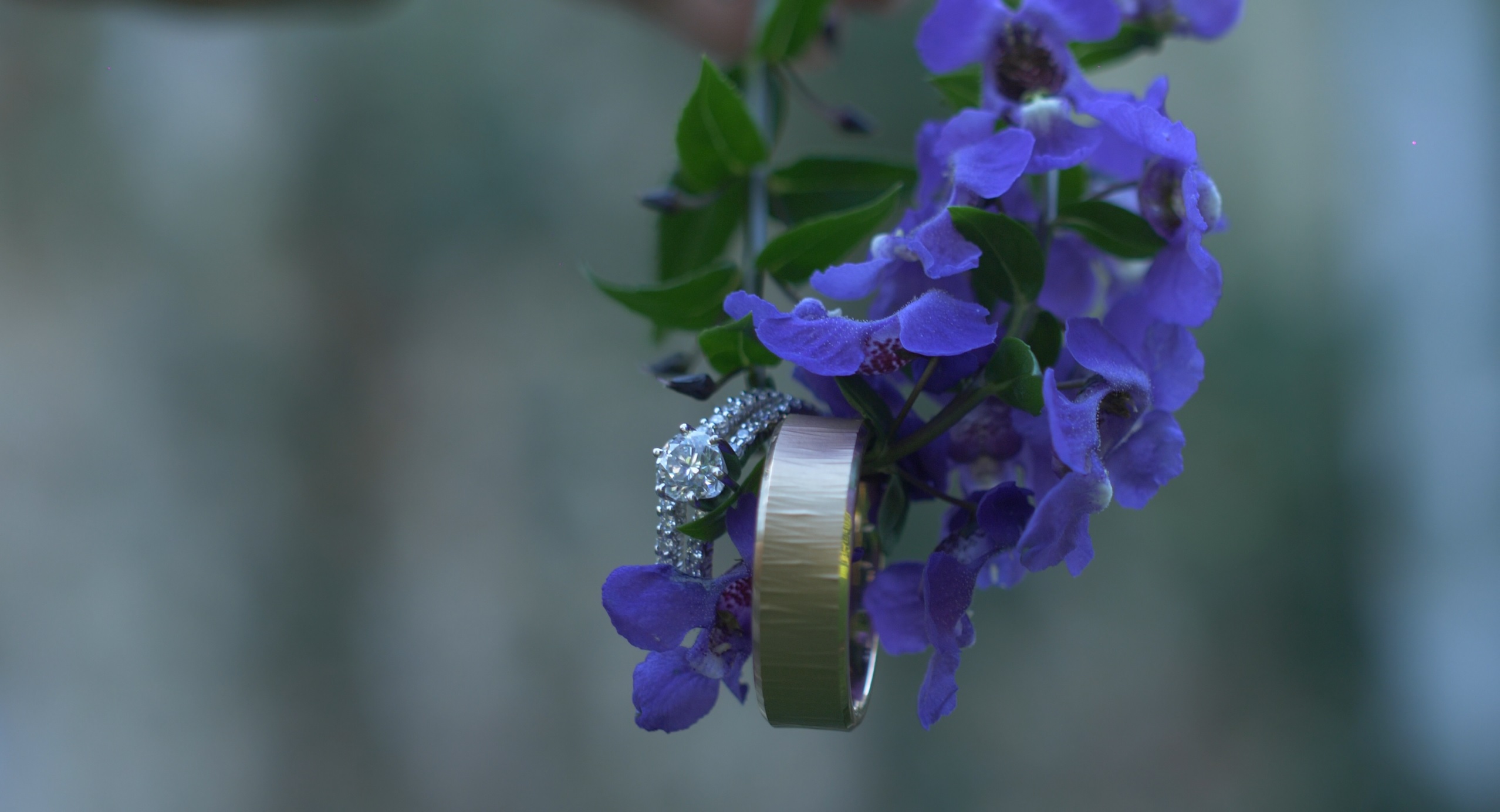 Wedding Rings | AJAV